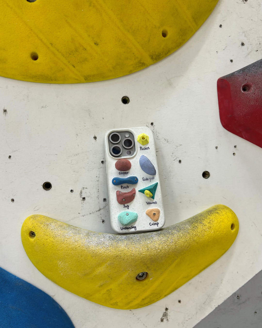 The "Beta" Phone Case